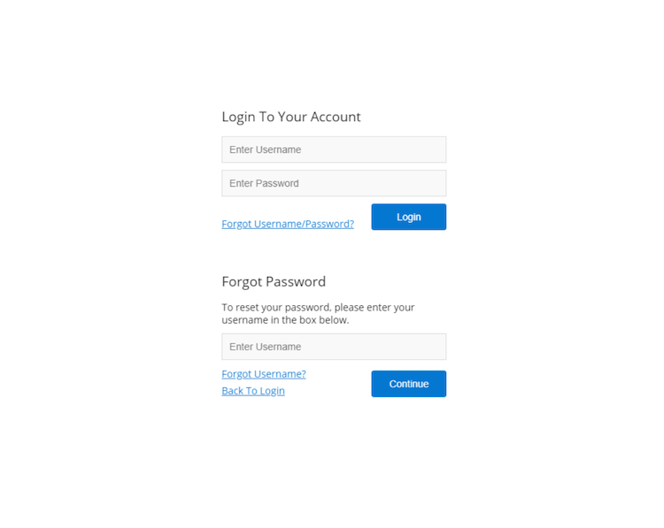 Mini Login